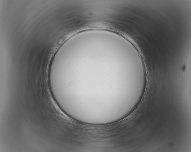 X0000114641477200912011037