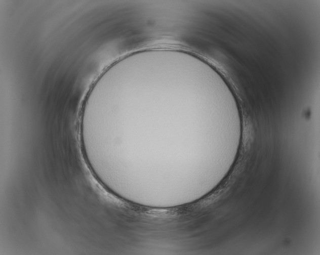 X0000114641478200912011037