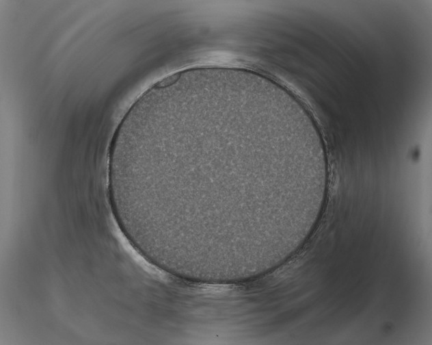 X0000114641479200912011037