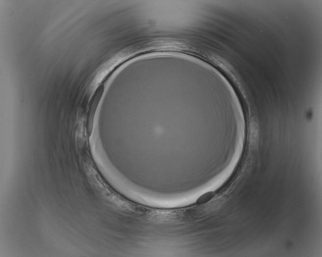 X0000114641481200912011037