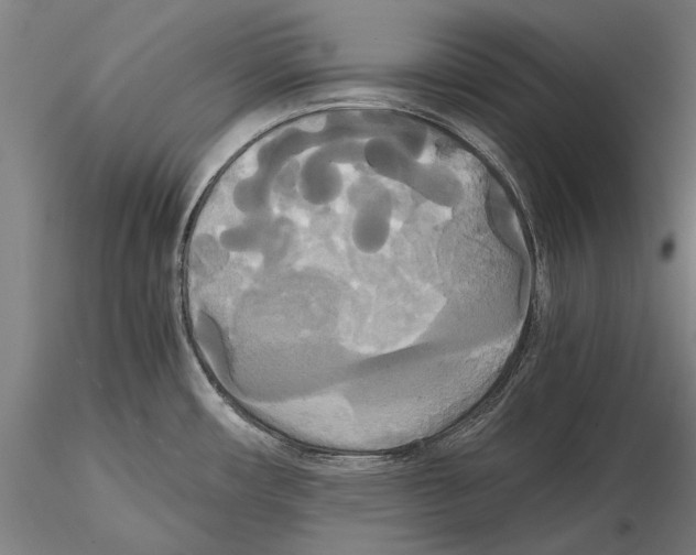 X0000114641482200912011037