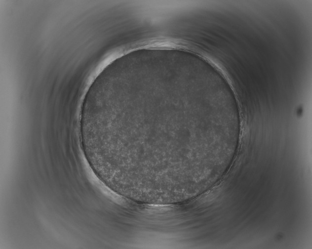 X0000114641483200912011037