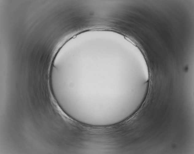 X0000114641485200912011037