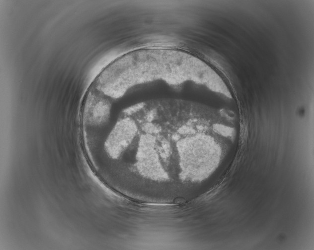 X0000114641487200912011037
