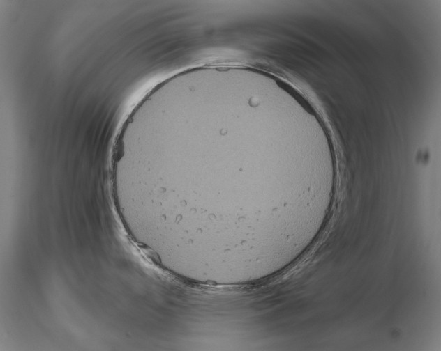 X0000114641488200912011037