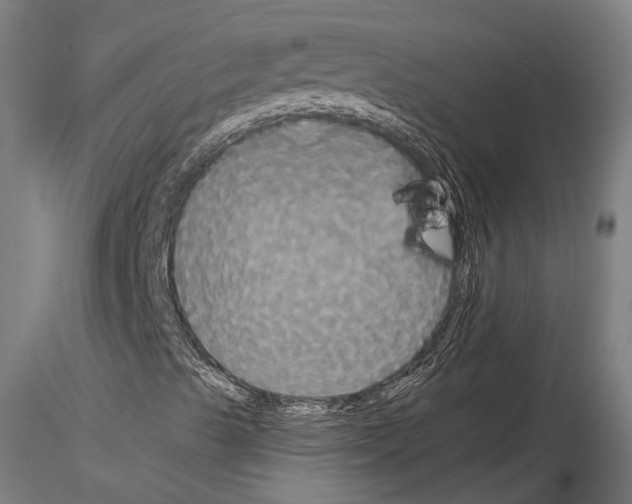 X0000114641489200912011036