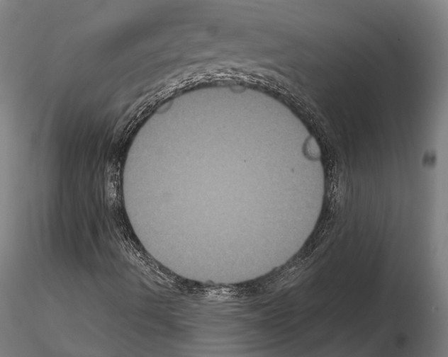 X0000114641490200912011036