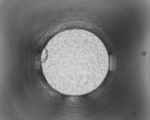 X0000114641491200912011036