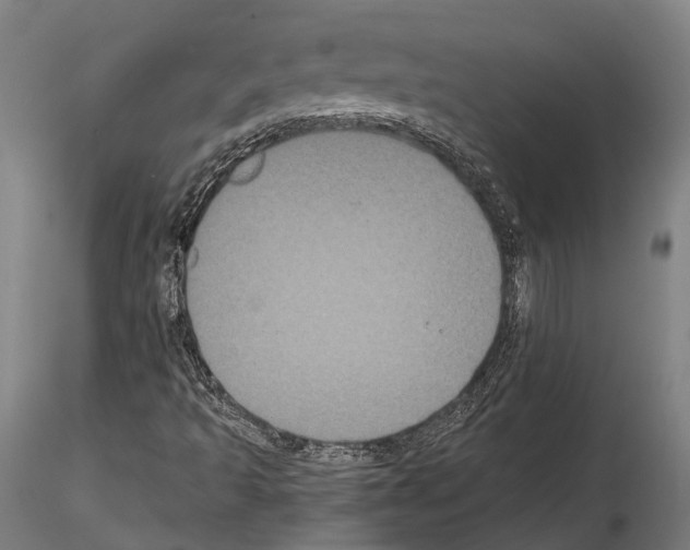 X0000114641493200912011036