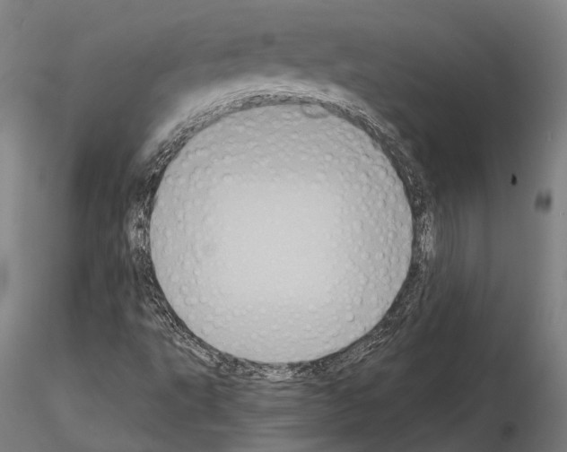 X0000114641495200912011036