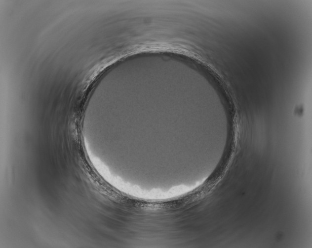 X0000114641497200912011036
