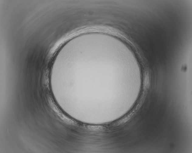 X0000114641498200912011036