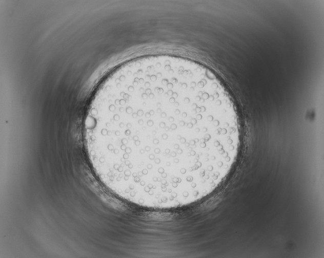 X0000114641499200912011036