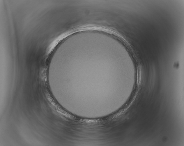 X0000114641501200912011036