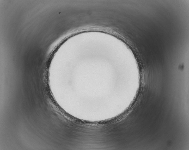 X0000114641502200912011036