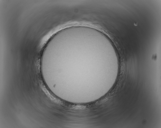 X0000114641503200912011036