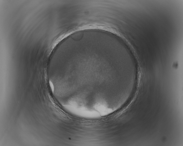 X0000114641505200912011036