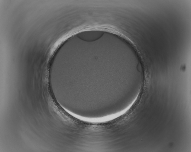 X0000114641506200912011036