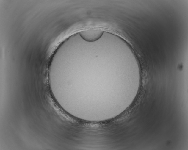 X0000114641507200912011036