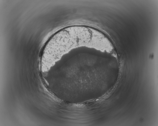 X0000114641509200912011037