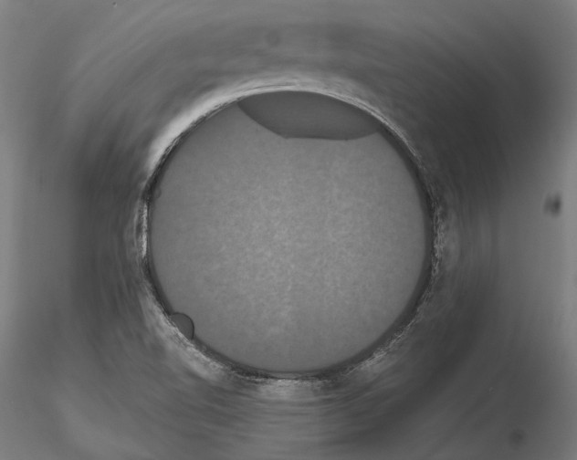 X0000114641510200912011037