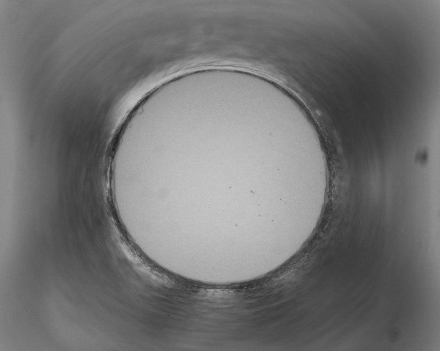 X0000114641511200912011037