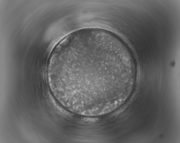 X0000114641513200912011037