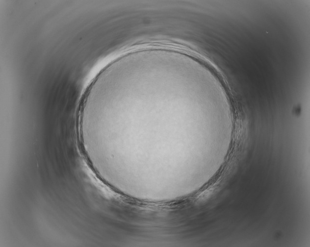 X0000114641514200912011037