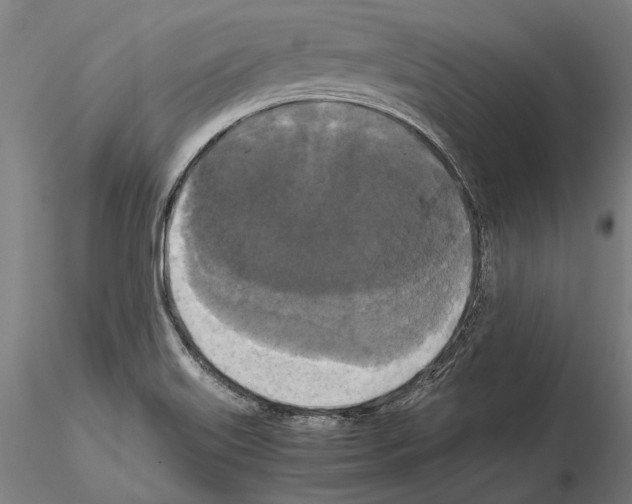 X0000114641515200912011037