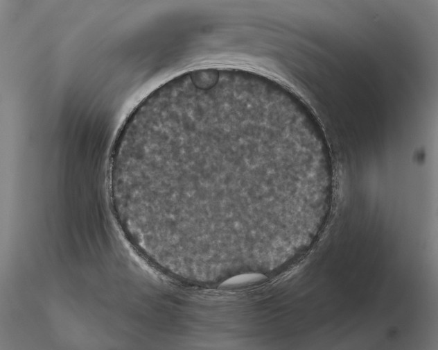 X0000114641517200912011037