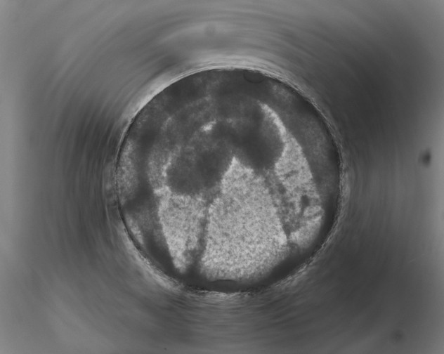 X0000114641521200912011037