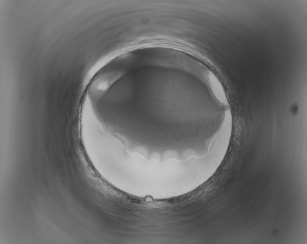 X0000114641522200912011037