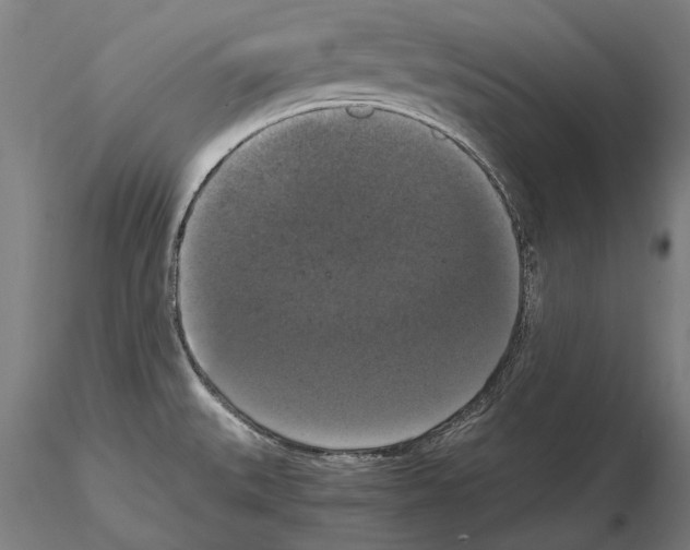 X0000114641527200912011037