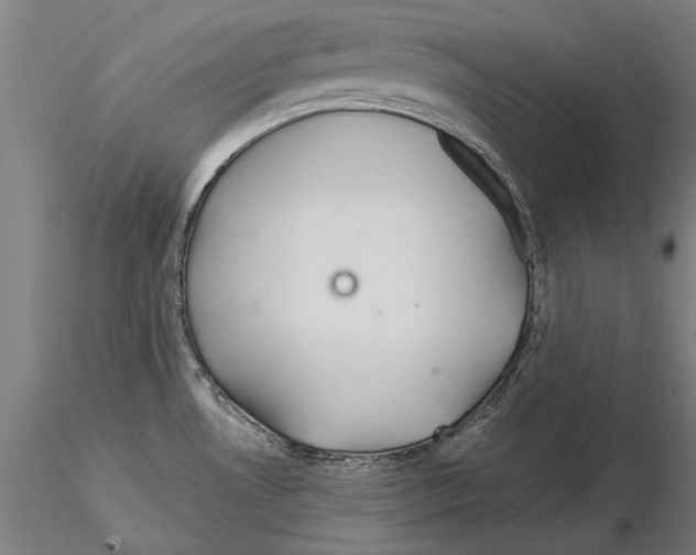 X0000114641530200912011037