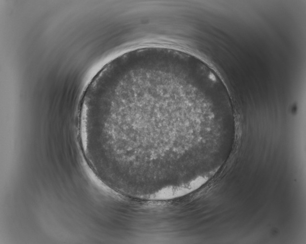 X0000114641531200912011037