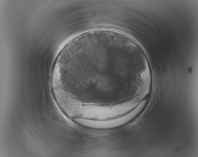 X0000114641533200912011037