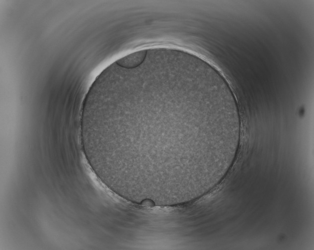X0000114641534200912011037