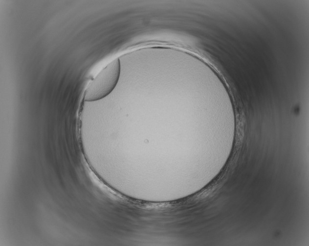 X0000114641535200912011037
