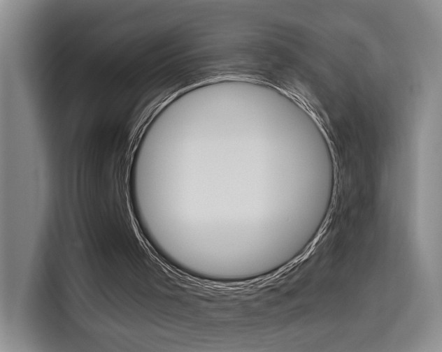X0000114650001200910201010