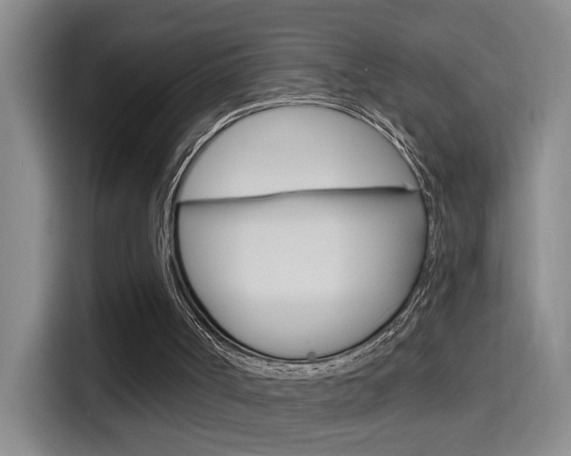 X0000114650002200910201010