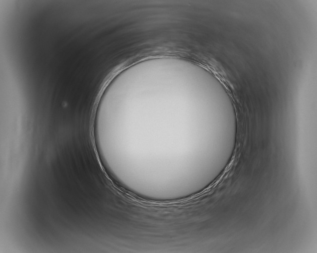 X0000114650003200910201010