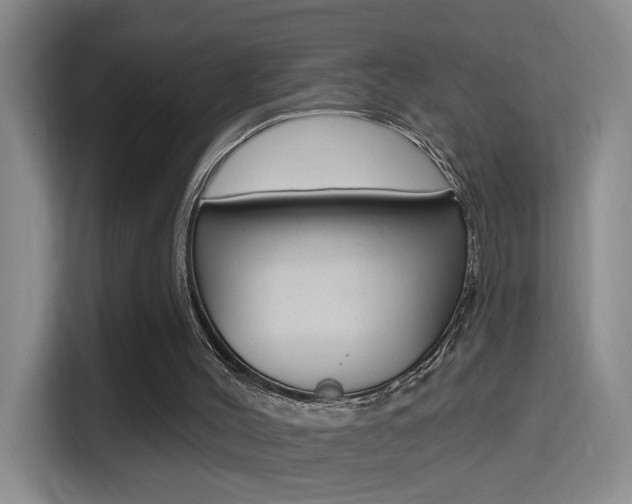 X0000114650004200910201010