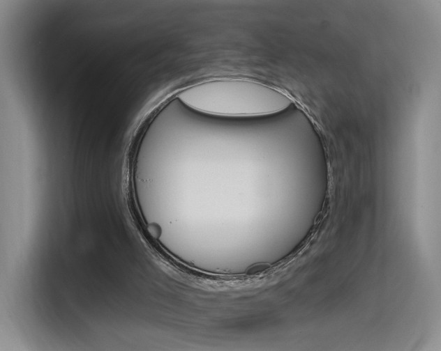 X0000114650005200910201010