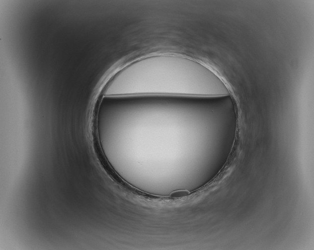X0000114650007200910201010