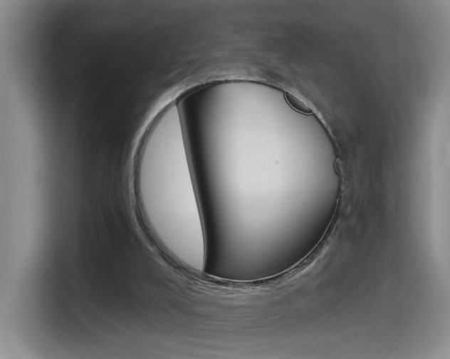 X0000114650008200910201010