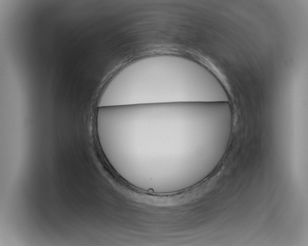 X0000114650010200910201010