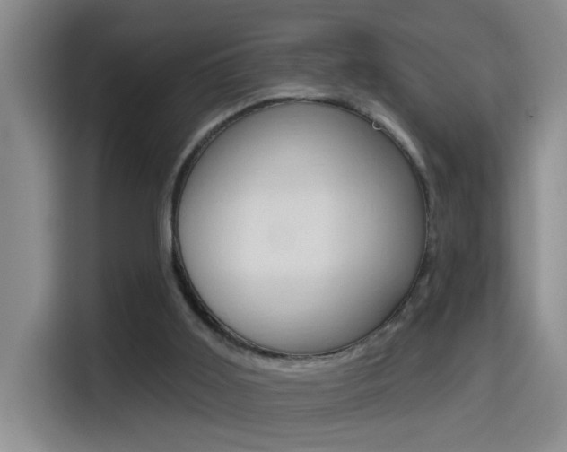 X0000114650011200910201010