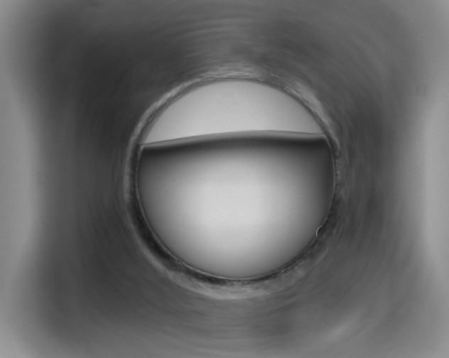 X0000114650012200910201010