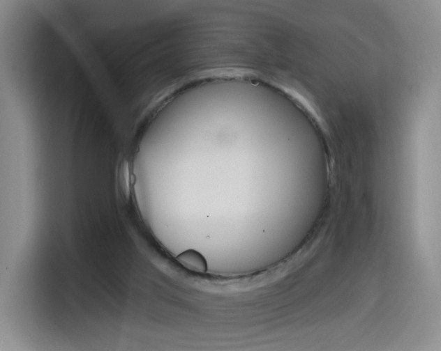 X0000114650013200910201010