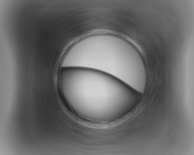 X0000114650015200910201010